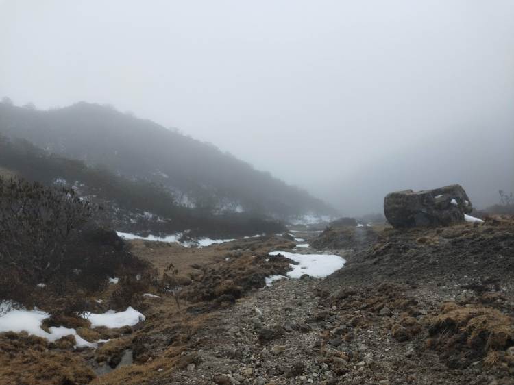 Snow, Beauty, and Dzongri